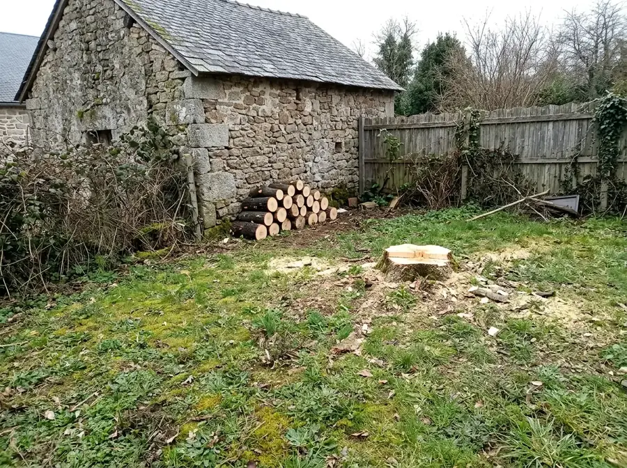 Abattage et dessouchage : après les travaux