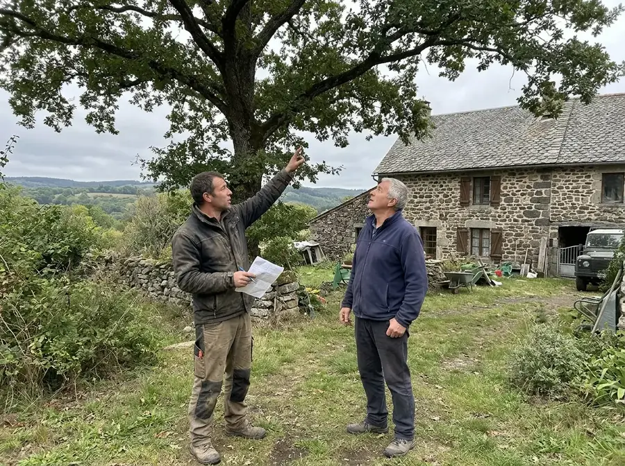 L’artisan explique les travaux au propriétaire, devant l’arbre